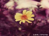 上海贵祈实业发展有限公司