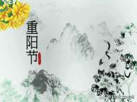 上海贵祈实业发展有限公司