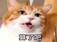 上海贵祈实业发展有限公司