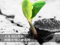 上海贵祈实业发展有限公司