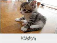 上海贵祈实业发展有限公司