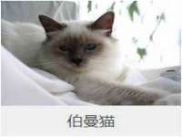 上海贵祈实业发展有限公司