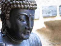 上海贵祈实业发展有限公司