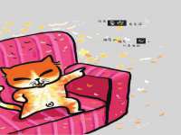 上海贵祈实业发展有限公司