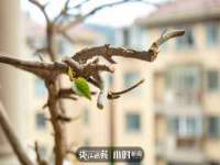 上海贵祈实业发展有限公司