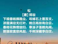 上海贵祈实业发展有限公司