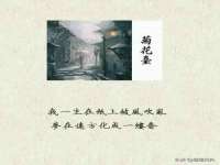上海贵祈实业发展有限公司