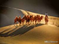 上海贵祈实业发展有限公司