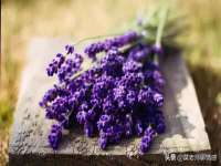 上海贵祈实业发展有限公司