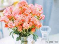 上海贵祈实业发展有限公司