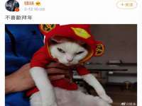 上海贵祈实业发展有限公司
