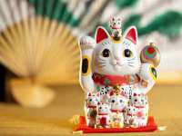 上海贵祈实业发展有限公司