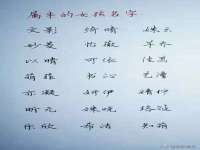 上海贵祈实业发展有限公司