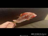上海贵祈实业发展有限公司